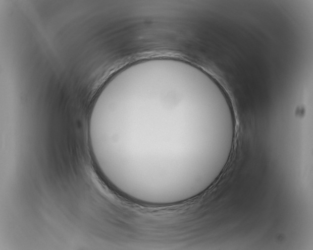 X0000114180013200911051601