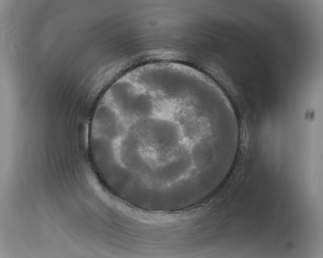 X0000114180014200911051601