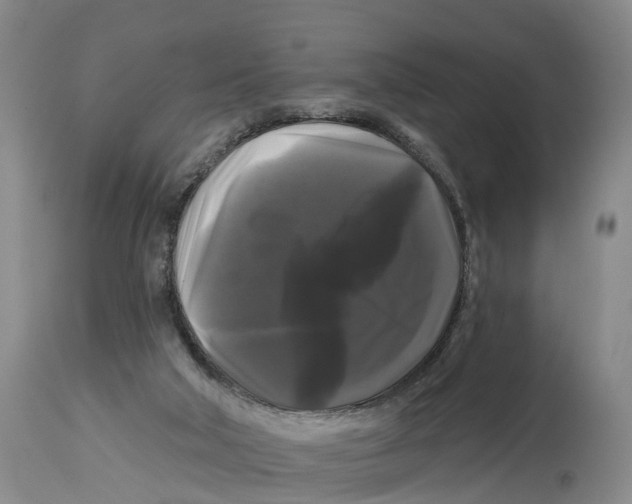 X0000114180018200911051601