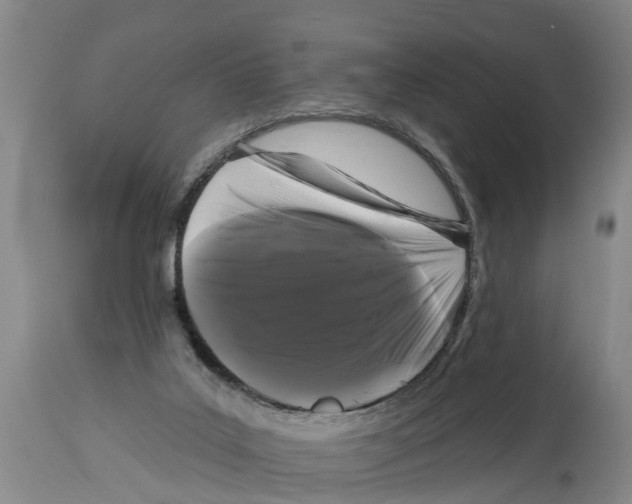 X0000114180019200911051601