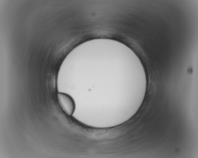 X0000114180021200911051601