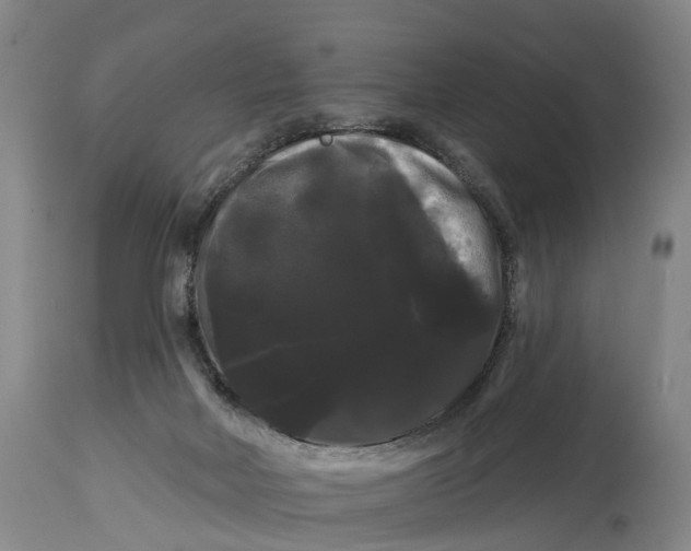 X0000114180026200911051601