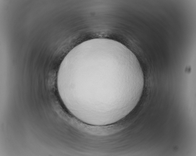 X0000114180030200911051601