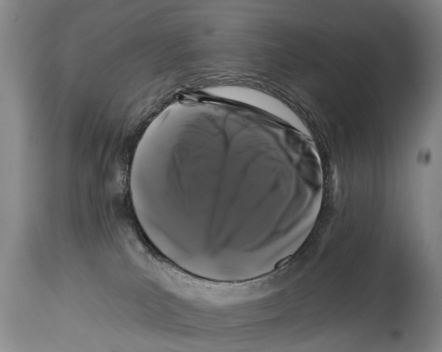 X0000114180039200911051601