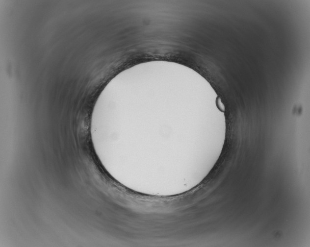 X0000114180040200911051601