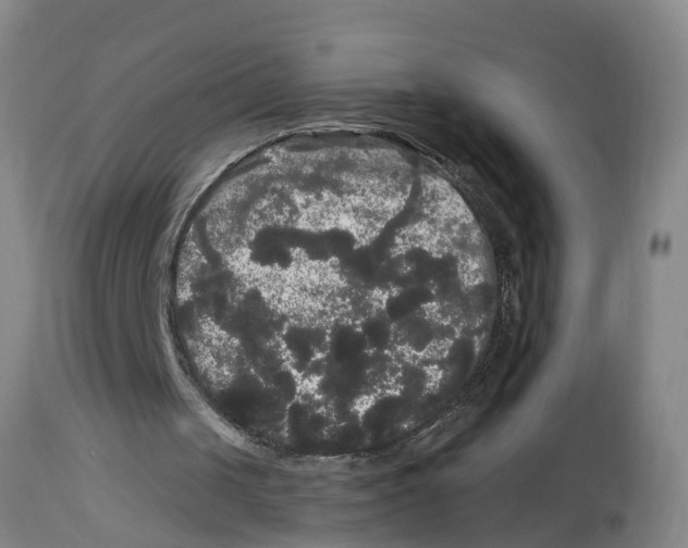 X0000114180049200911051600