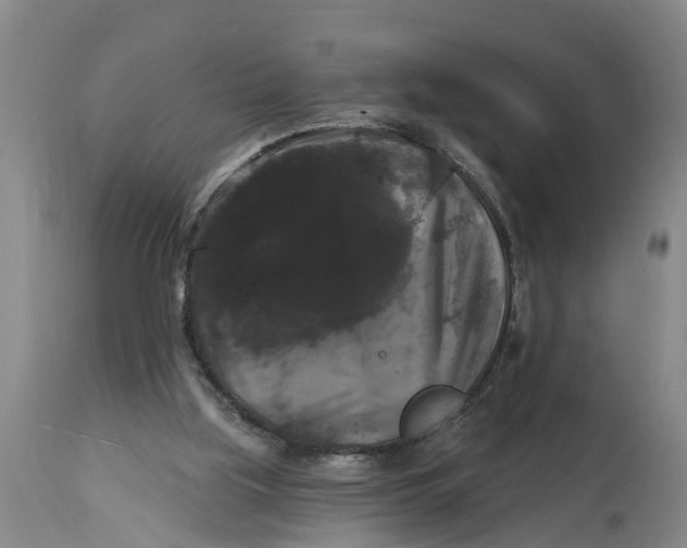 X0000114180059200911051600