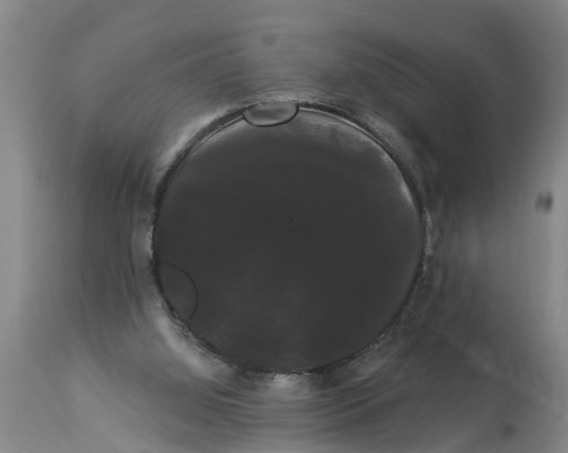 X0000114180060200911051600