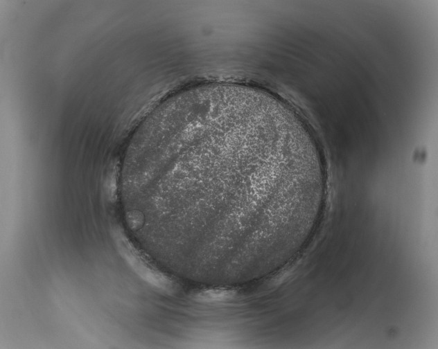 X0000114180065200911051600