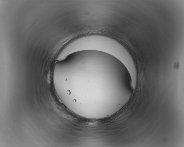 X0000114180068200911051600