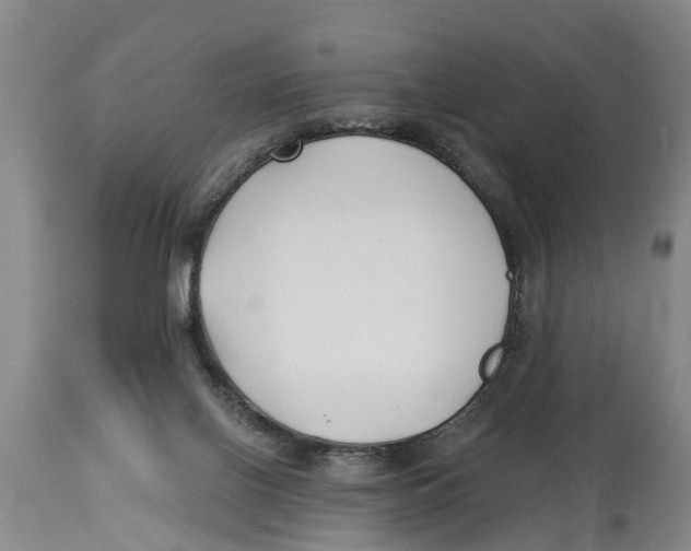 X0000114180070200911051600