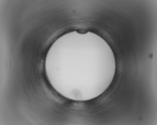 X0000114180071200911051600