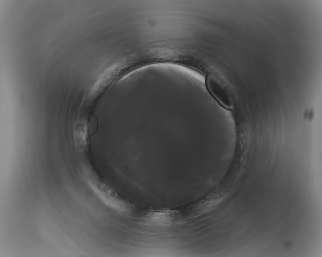 X0000114180072200911051600