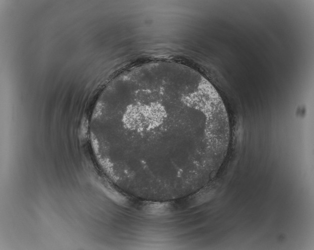 X0000114180081200911051600