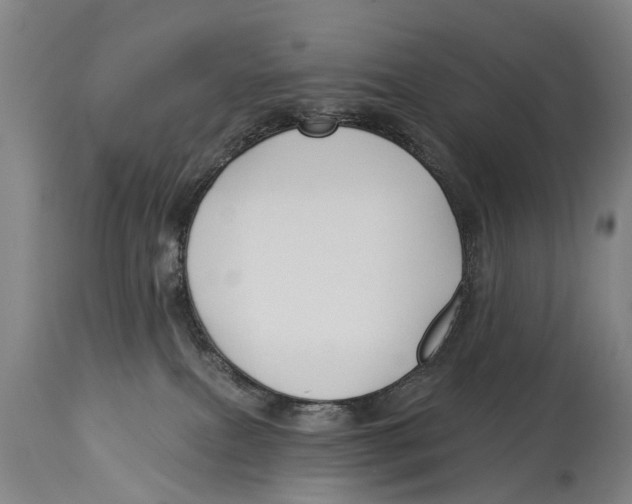 X0000114180087200911051600