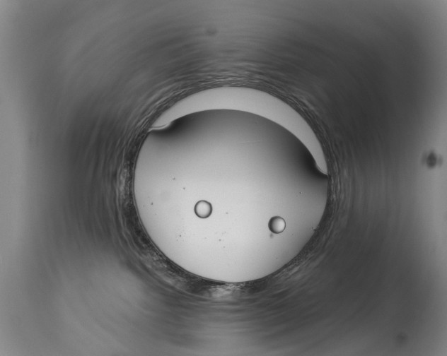 X0000114180092200911051601