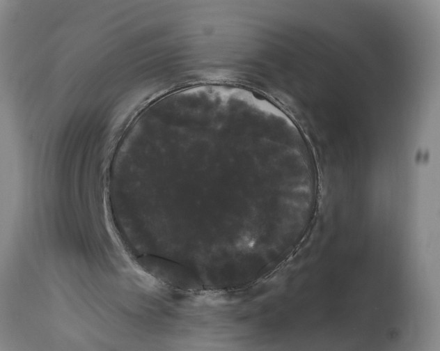 X0000114180097200911051600