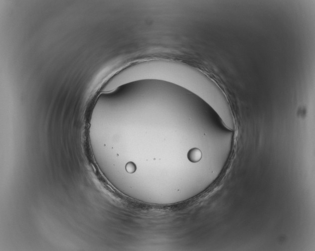 X0000114180101200911051559