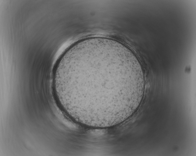 X0000114180102200911051559