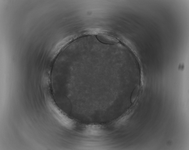 X0000114180105200911051559