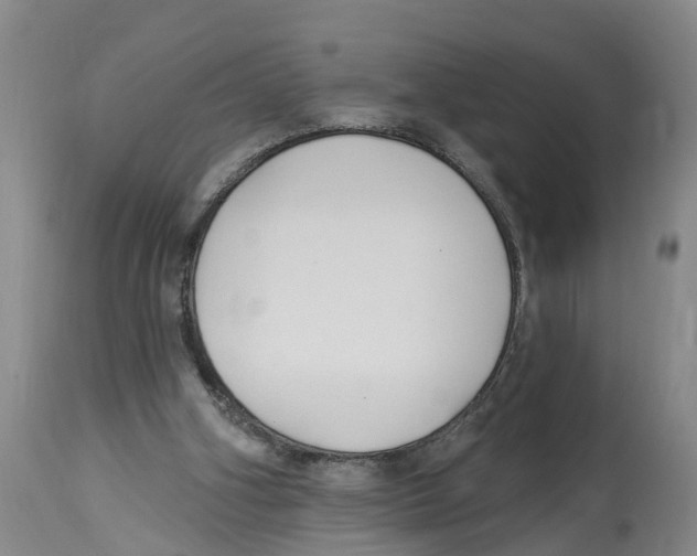 X0000114180106200911051559