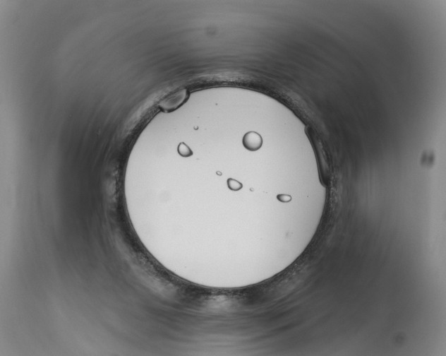 X0000114180111200911051559