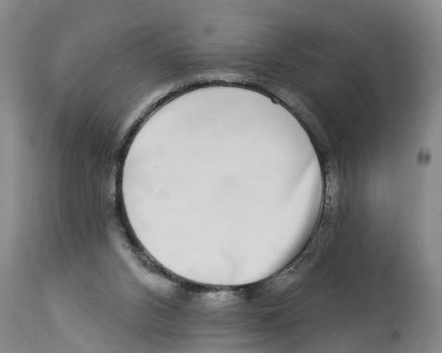 X0000114180112200911051559