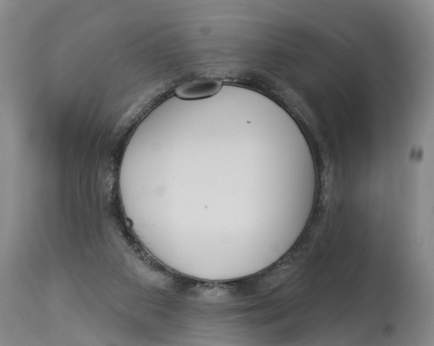 X0000114180113200911051559