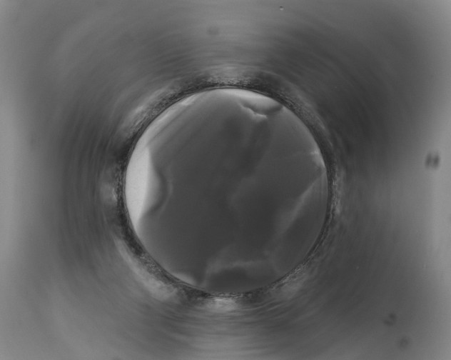 X0000114180114200911051559