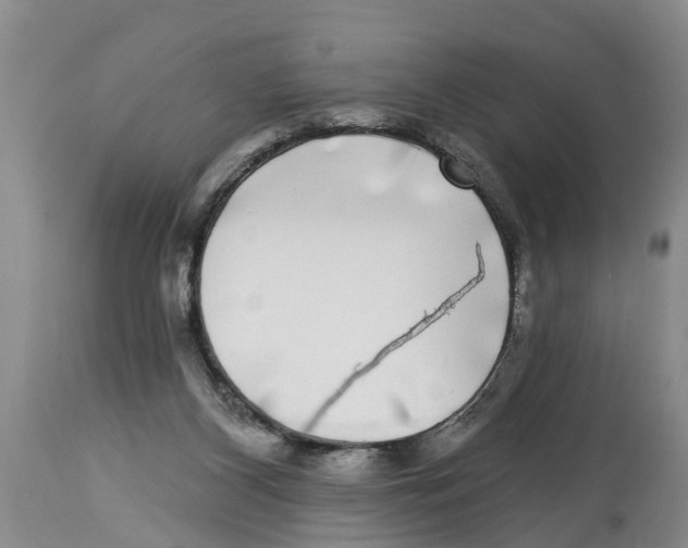 X0000114180116200911051559