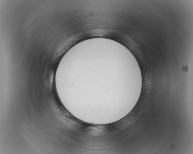 X0000114180118200911051559