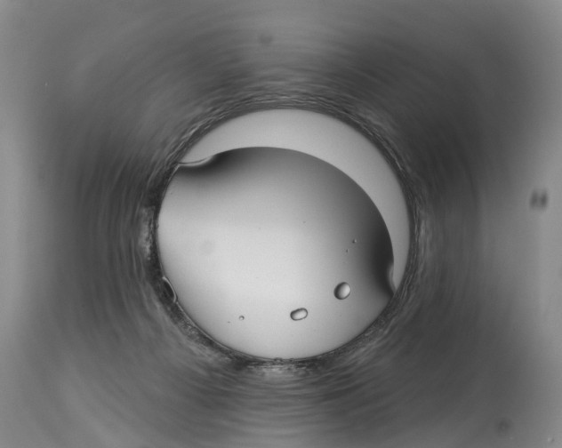 X0000114180121200911051559