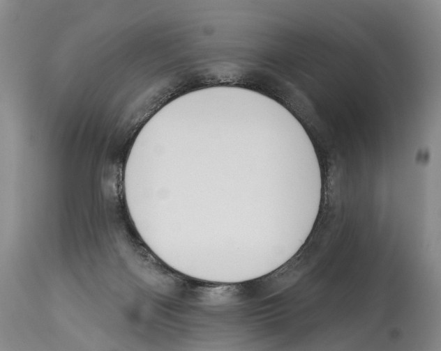 X0000114180122200911051559