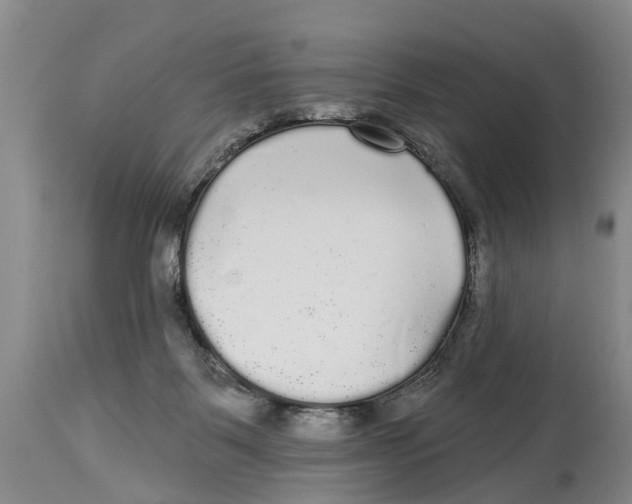 X0000114180123200911051559