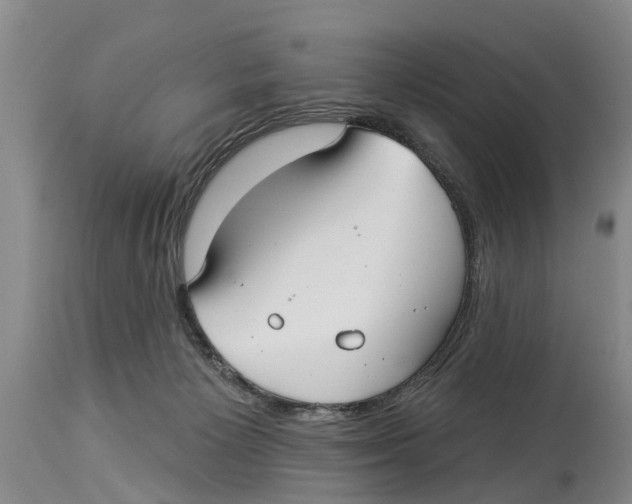 X0000114180125200911051559