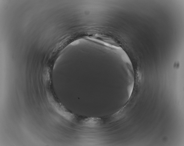 X0000114180128200911051559