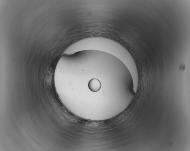 X0000114180129200911051559