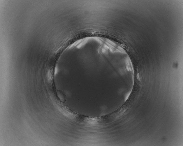 X0000114180131200911051559