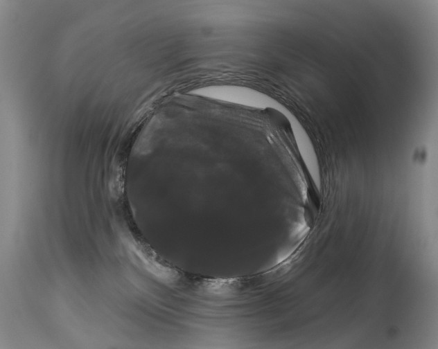 X0000114180136200911051559