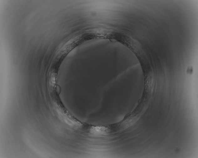 X0000114180137200911051559