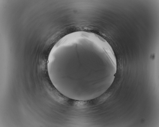 X0000114180139200911051559