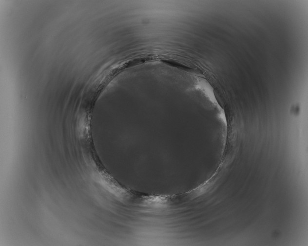 X0000114180140200911051559