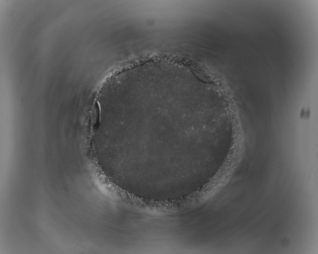 X0000114180144200911051559