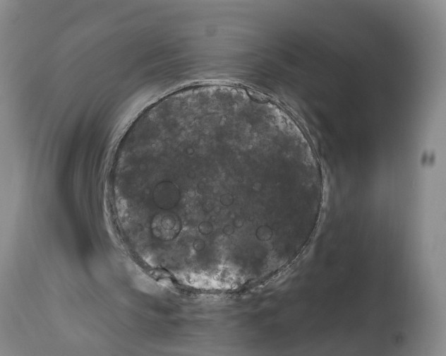 X0000114180145200911051558