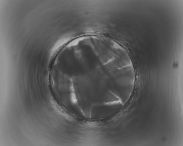 X0000114180149200911051558