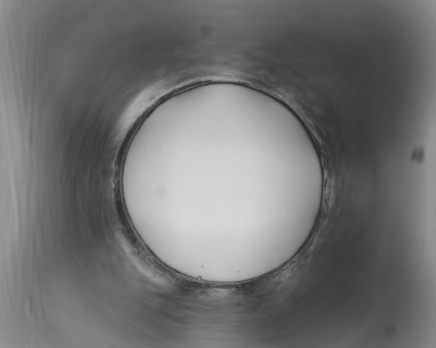 X0000114180151200911051558