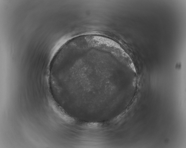 X0000114180152200911051558