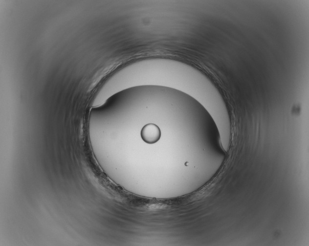 X0000114180158200911051558