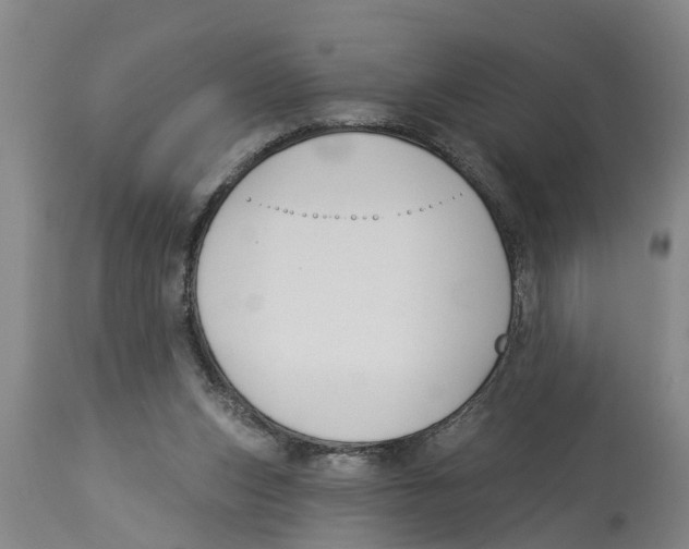 X0000114180159200911051558