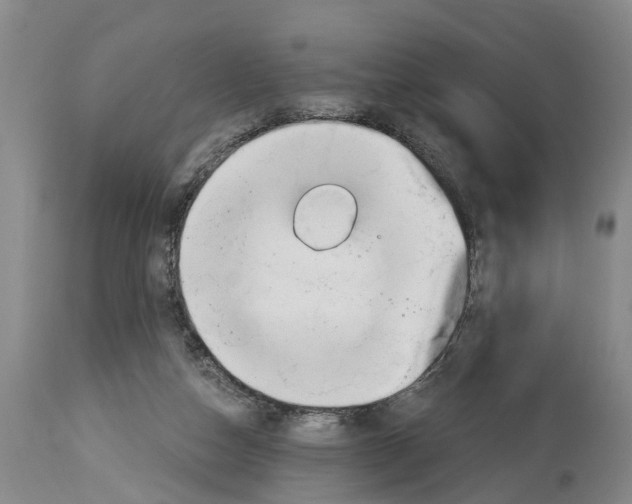 X0000114180162200911051558